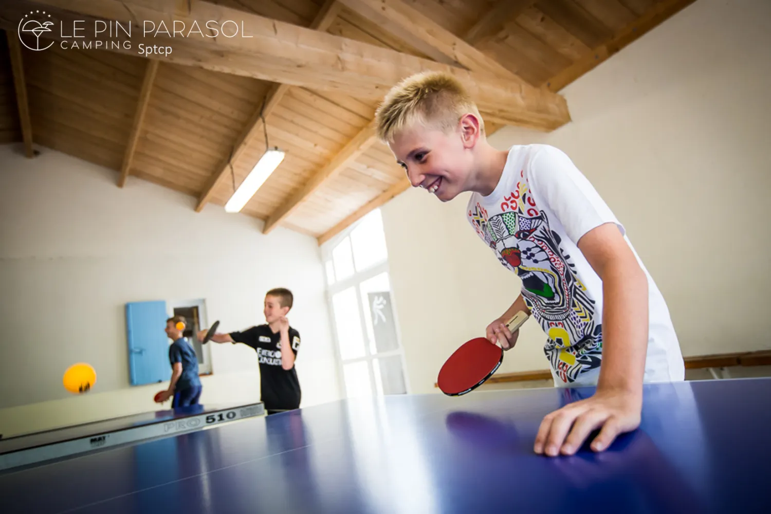 camping-le-pin-parasol-la-chapelle-hermier-nktjh