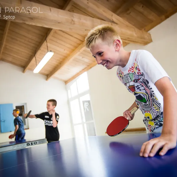 camping-le-pin-parasol-la-chapelle-hermier-nktjh