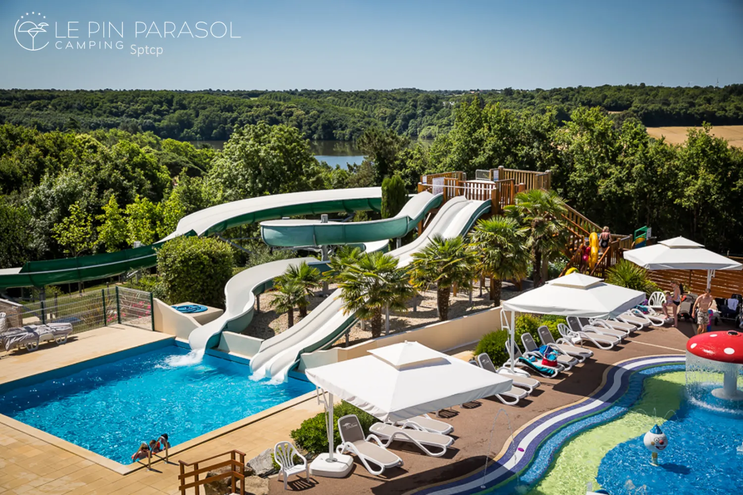 camping-le-pin-parasol-la-chapelle-hermier-y3d1y