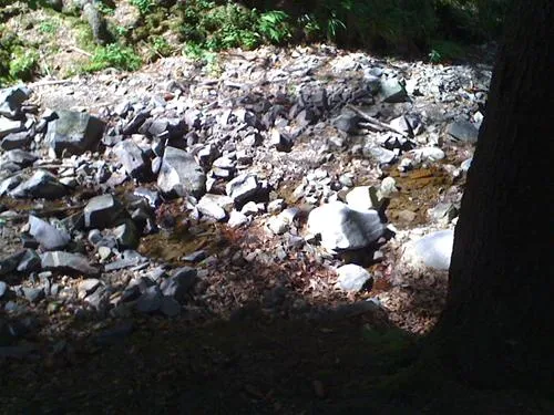 campingplatz-im-waldwinkel-zorge-harz-gbwxd