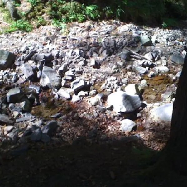 campingplatz-im-waldwinkel-zorge-harz-gbwxd