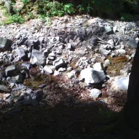 campingplatz-im-waldwinkel-zorge-harz-gbwxd
