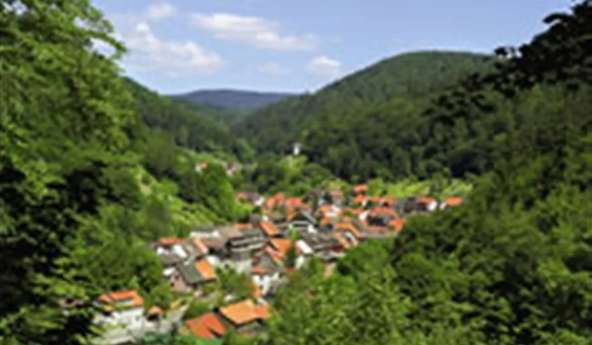 campingplatz-im-waldwinkel-zorge-harz-k80mo