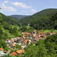 Campingplatz im Waldwinkel