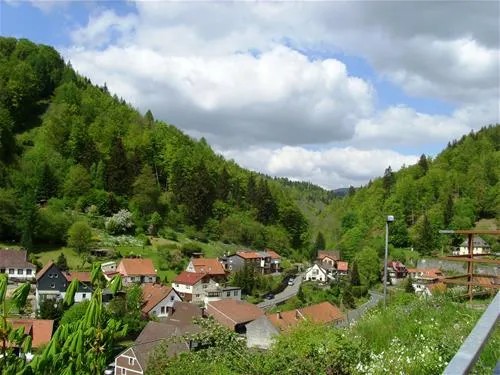 campingplatz-im-waldwinkel-zorge-harz-xgd9y