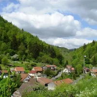 campingplatz-im-waldwinkel-zorge-harz-xgd9y