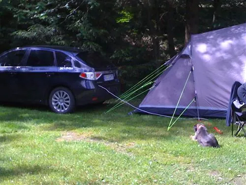 campingplatz-im-waldwinkel-zorge-harz-xqtn0