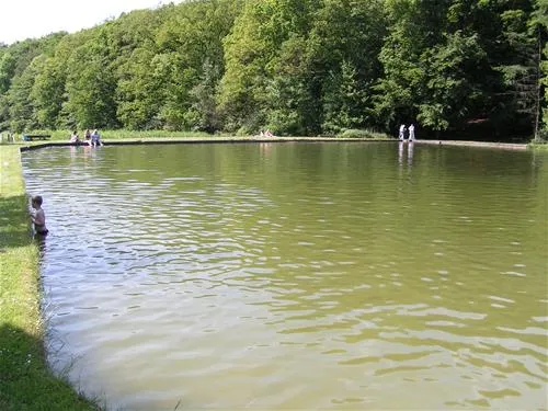 campingplatz-waldwinkel-bramsche-xflvb