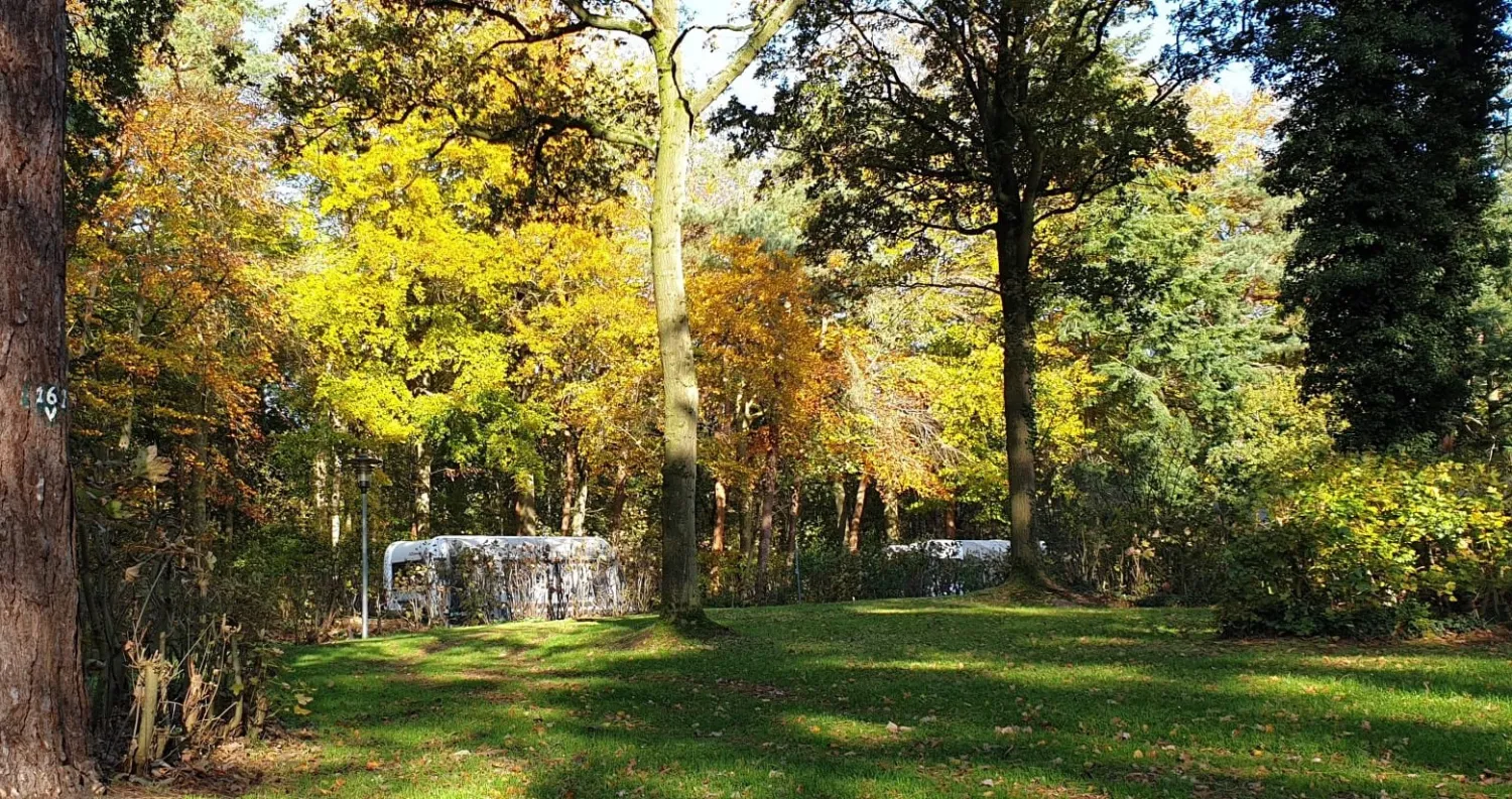 camping-de-waps-oudemirdum-u2ccj