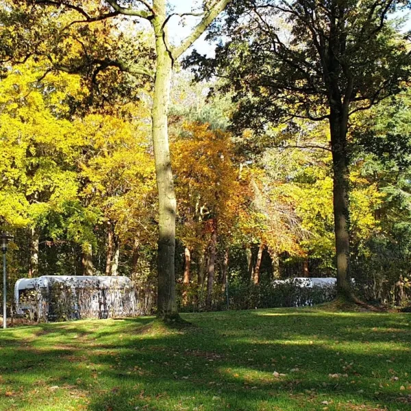 camping-de-waps-oudemirdum-u2ccj