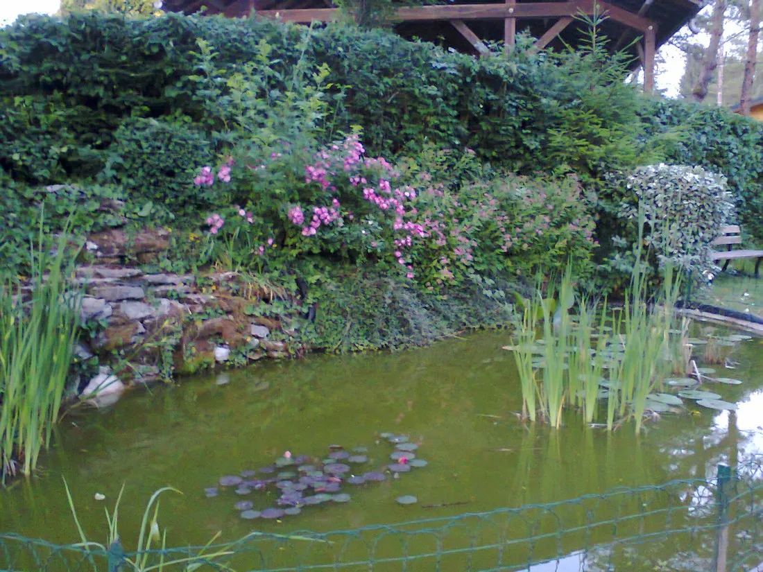 camping-le-moulin-jura-htc1h