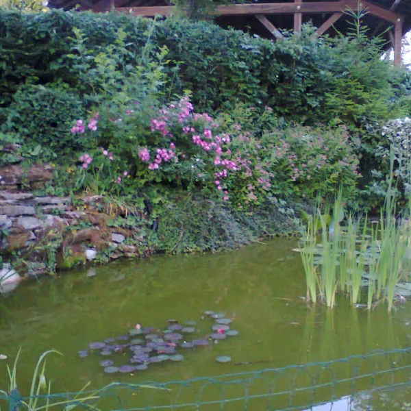 camping-le-moulin-jura-htc1h