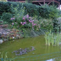 camping-le-moulin-jura-htc1h