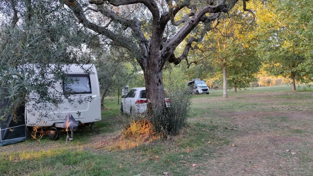agricamping-monterotondo-montefiascone-09mme