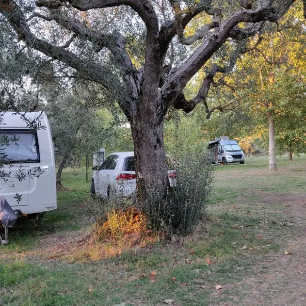 agricamping-monterotondo-montefiascone-09mme