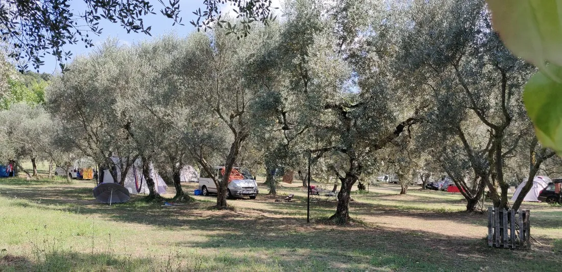 agricamping-monterotondo-montefiascone-hhzyd