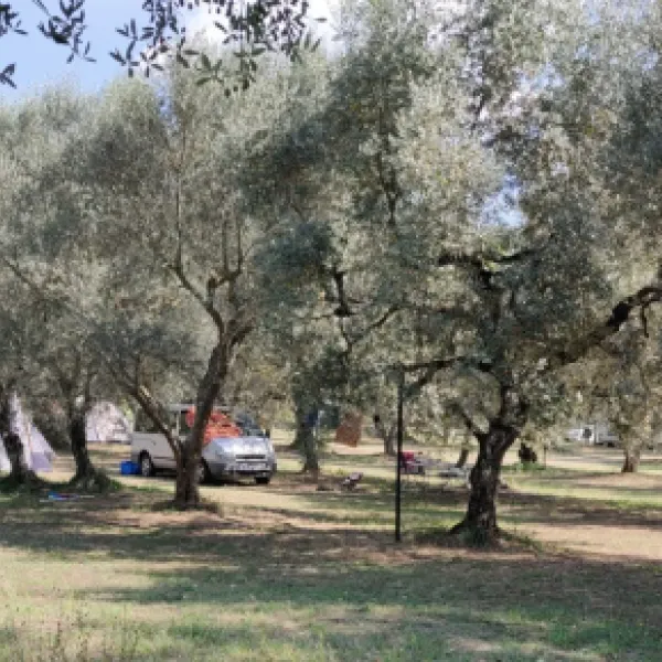 agricamping-monterotondo-montefiascone-hhzyd