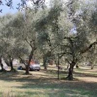 agricamping-monterotondo-montefiascone-hhzyd