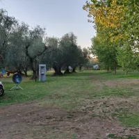 agricamping-monterotondo-montefiascone-pgd12