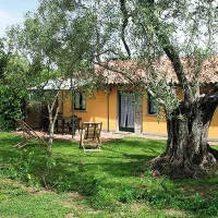 agricamping-monterotondo-montefiascone-pz4h8