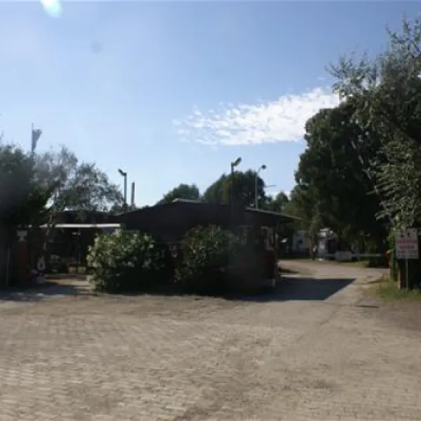 campeggio-rada-etrusca-vada-jocza