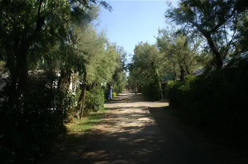 campeggio-rada-etrusca-vada-jwfen