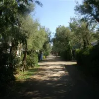 campeggio-rada-etrusca-vada-jwfen