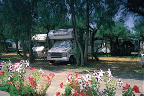 campeggio-rada-etrusca-vada-vwmk6