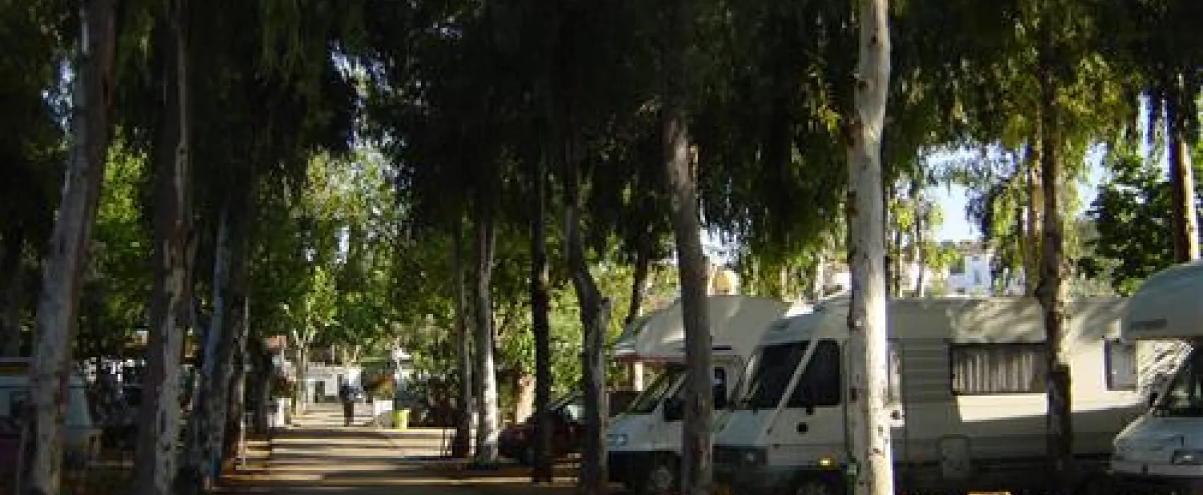 Camping el Brillante