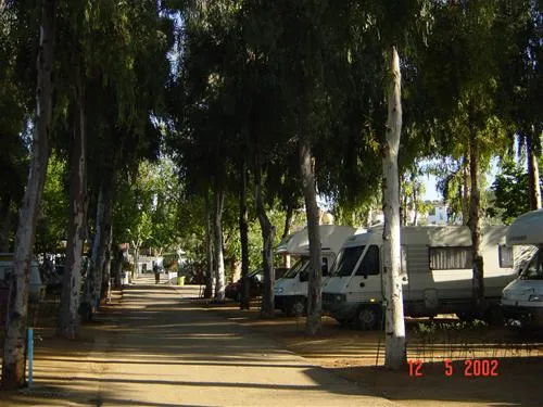 camping-el-brillante-crdoba-lfay9