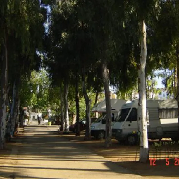 camping-el-brillante-crdoba-lfay9