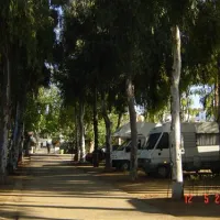camping-el-brillante-crdoba-lfay9