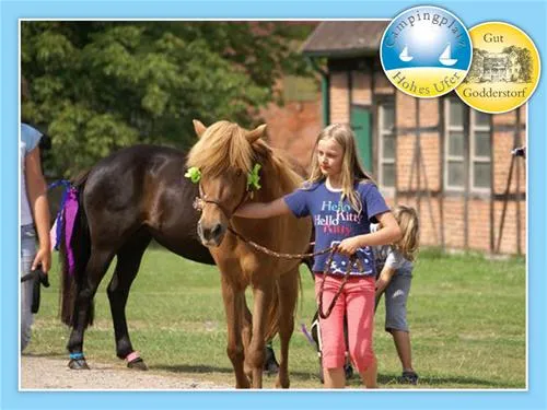camping-hohes-ufer-ostermade-6y32g