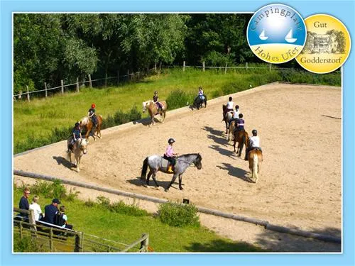 camping-hohes-ufer-ostermade-klqzj