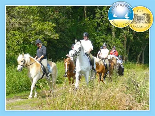 camping-hohes-ufer-ostermade-nftsw
