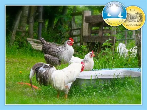 camping-hohes-ufer-ostermade-vv0bk