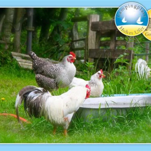 camping-hohes-ufer-ostermade-vv0bk