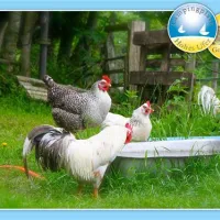 camping-hohes-ufer-ostermade-vv0bk