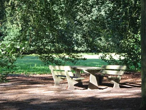 camping-de-reke-ootmarsumnutter-0kqgk