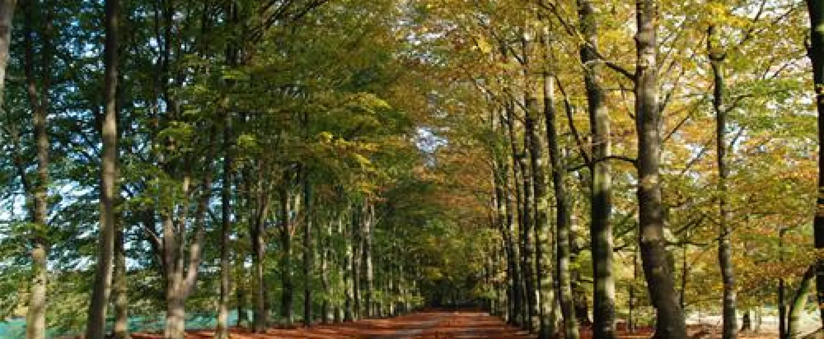 Camping De Reke