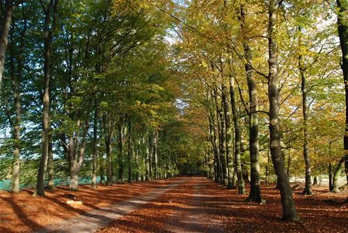camping-de-reke-ootmarsumnutter-n6ahf