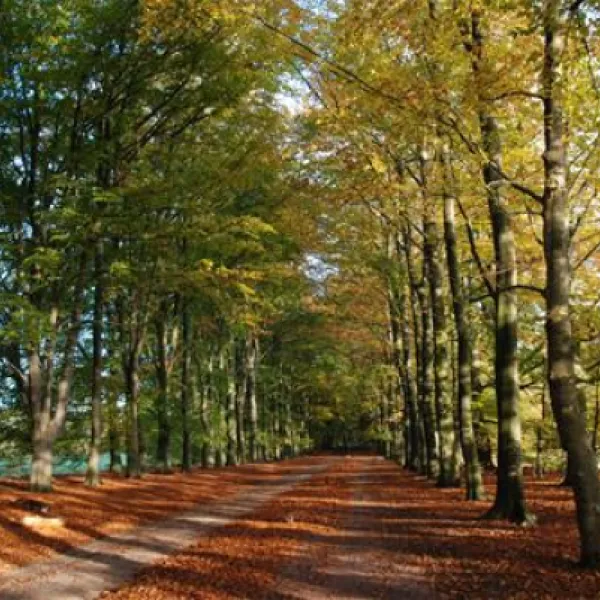 camping-de-reke-ootmarsumnutter-n6ahf