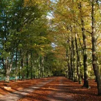 camping-de-reke-ootmarsumnutter-n6ahf