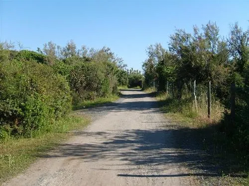 camping-village-le-esperidi-marina-di-bibbona-0xw1k