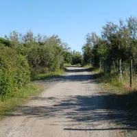 camping-village-le-esperidi-marina-di-bibbona-0xw1k