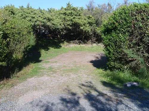 camping-village-le-esperidi-marina-di-bibbona-io37f