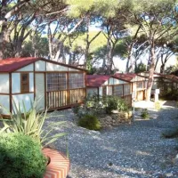 camping-village-le-esperidi-marina-di-bibbona-lklrx