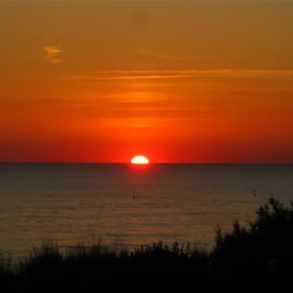 camping-village-le-esperidi-marina-di-bibbona-rli1d