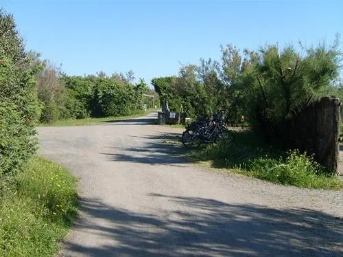 camping-village-le-esperidi-marina-di-bibbona-vtaaq