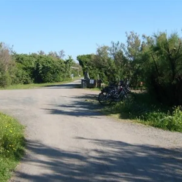 camping-village-le-esperidi-marina-di-bibbona-vtaaq